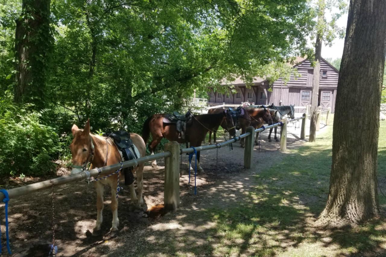 אנגולה Potawatomi Inn & Cabins מראה חיצוני תמונה